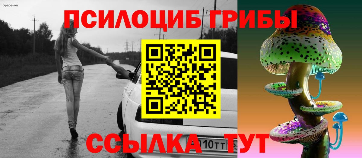 Галлюциногенные грибы Psilocybe  Вход с VPN  Кропоткин 